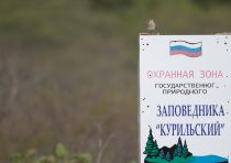 Японский бекас Gallinago hardwickii sakhalin2017
Filename=8Z2A8574.jpg
Filesize=140KB
Dimensions=900x635
Date added=Sep 23, 2017 8Z2A8574.jpg