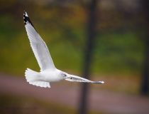 Filename=8Z2A0062.jpg
Filesize=1022KiB
Dimensions=1500x1149
Date added=Oct 28, 2025 8Z2A0062.jpg