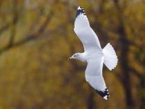 Filename=8Z2A9994.jpg
Filesize=1069KiB
Dimensions=1500x1133
Date added=Oct 28, 2025 8Z2A9994.jpg