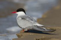 IMG_3171.jpg