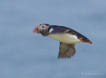IMG_1991.jpg