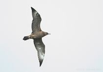 IMG_8456.jpg