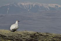 IMG_8423.jpg