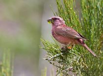 IMG_2676.jpg