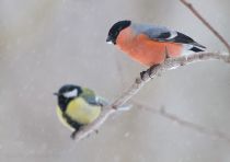 IMG_6131.jpg