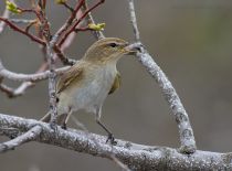 IMG_4457.jpg