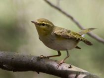 IMG_8492.jpg