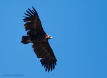 Filename=8Z2A3076.jpg
Filesize=293KiB
Dimensions=1300x958
Date added=Sep 07, 2026 8Z2A3076.jpg